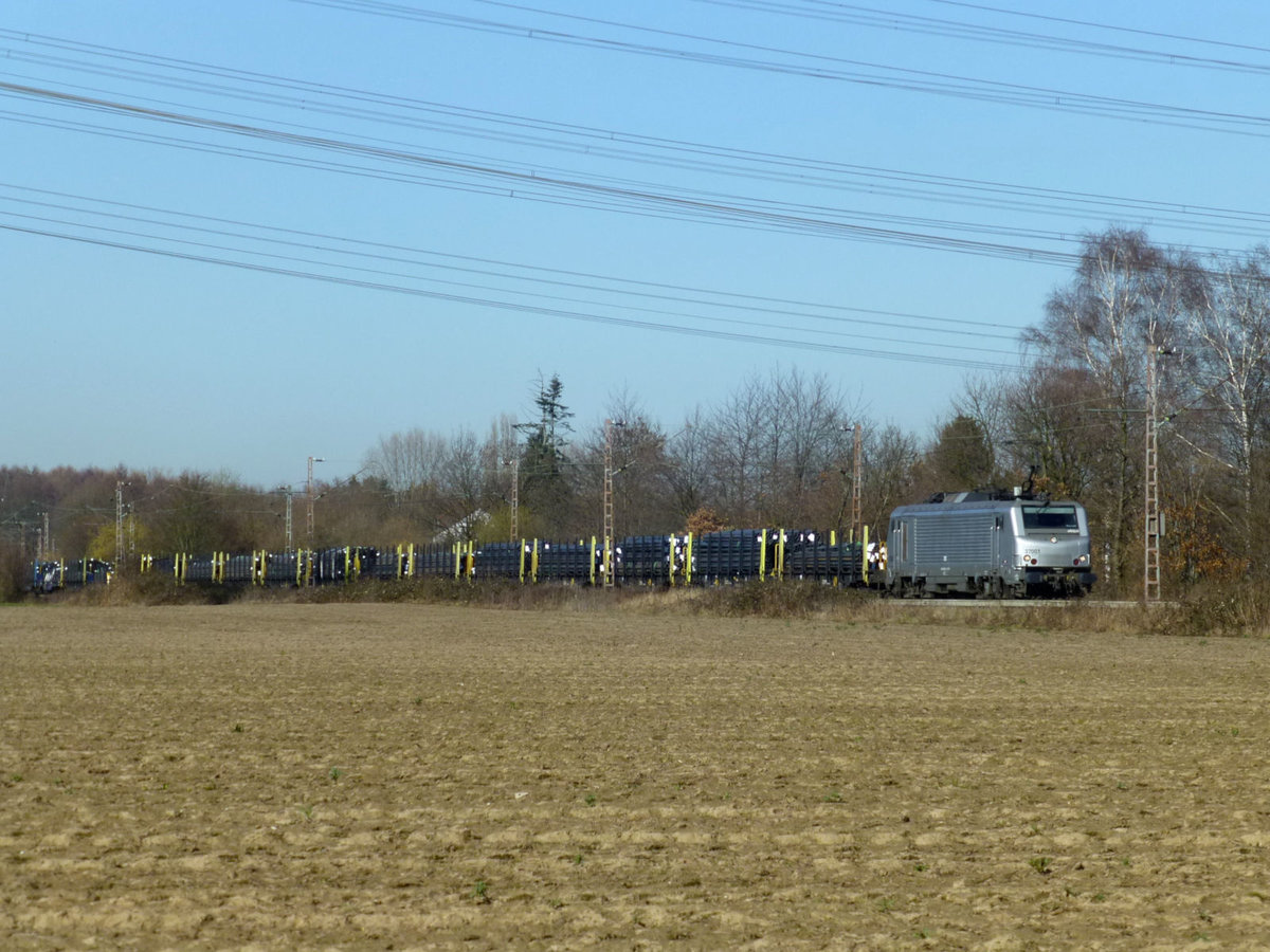 Die (ihrer Nummer nach) erste Prima-Lok 37001 von akiem bei Hilden, 27.2.2019.