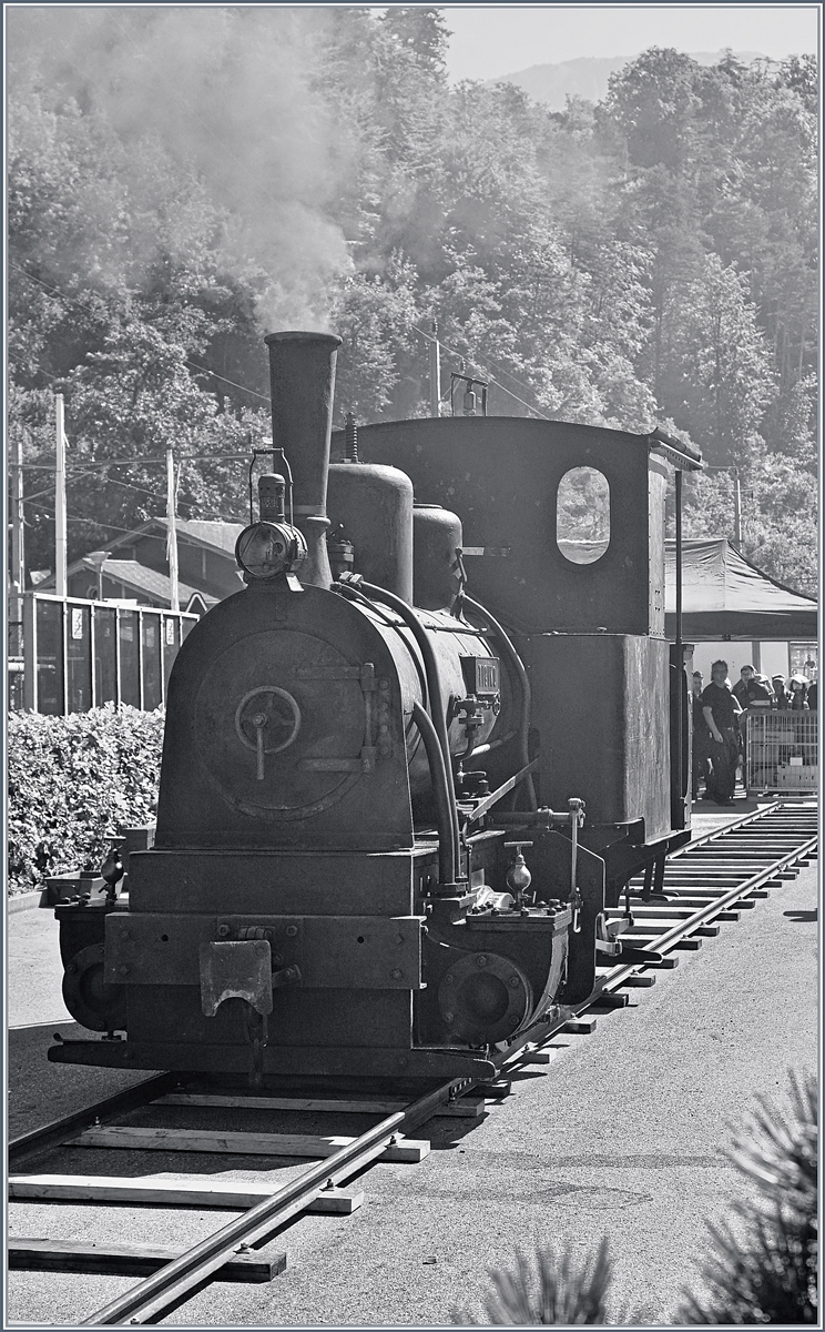 Die kleine, 1889 von Jung mit der Fabriknummer 59 gebaute G 2/2 bei den Schweizer Dampftagen in Brienz 2018 raucht gewaltig und fährt fleissig auf ihrem klein Streckenstück hin und her. 
30. Juni 2018 
