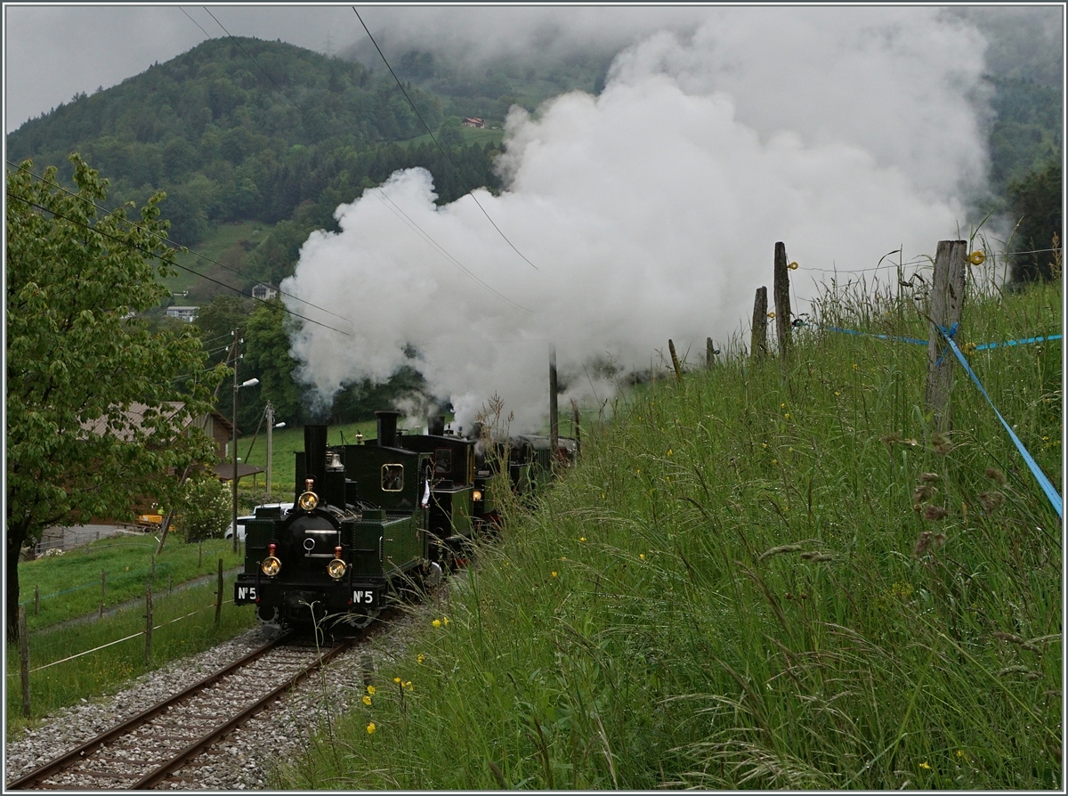 Die LEB G 3/3 N° 5 führt eine Dampfzg mit vier Loks und einigen Wagen an.
Bei Chaulin, den 14. Mai 2016 