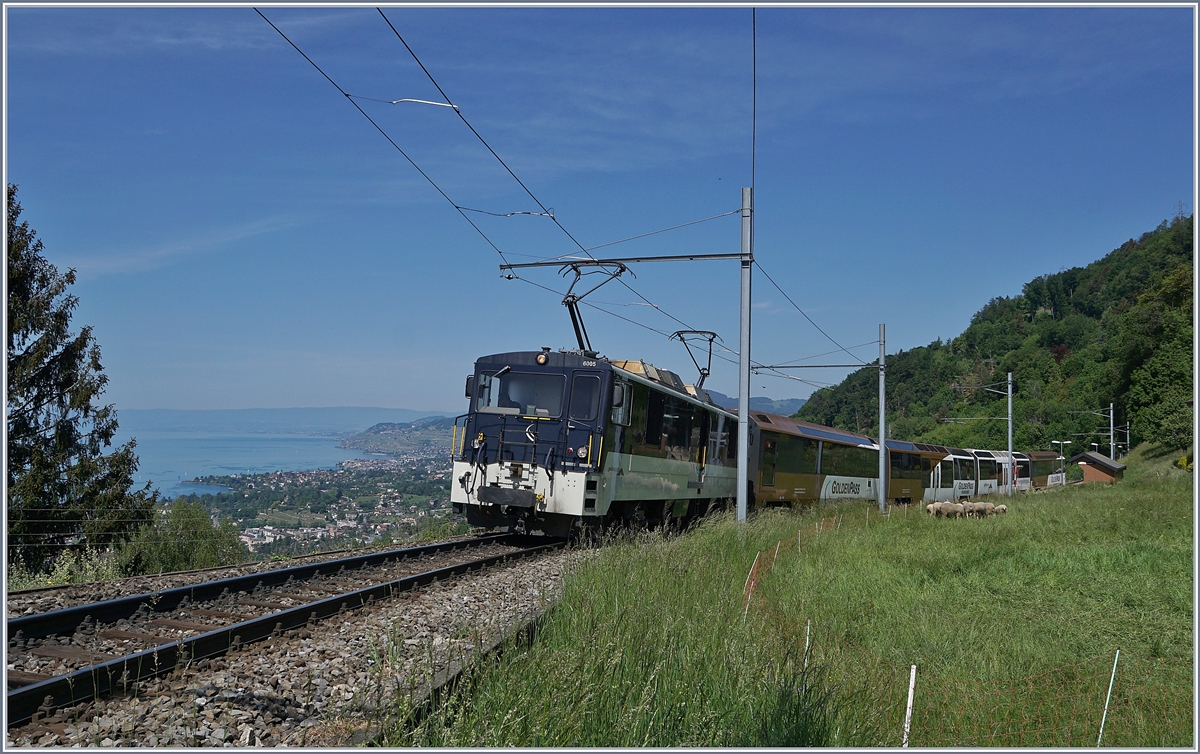 Die MOB GDe 4/4 6005 ist mit ihrem PE 2122 auf dem Weg nach Zweisimmen bei Sonzier unterwegs. 

9. Mai 2020