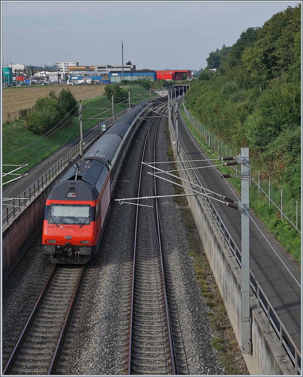 Die NBS (Schnellfahrtstrecke Mattstetten - Rothrist)  bei Langental mit von Re 460 geführen schnell durchfahrenden Zügen. 

10. Aug. 2020