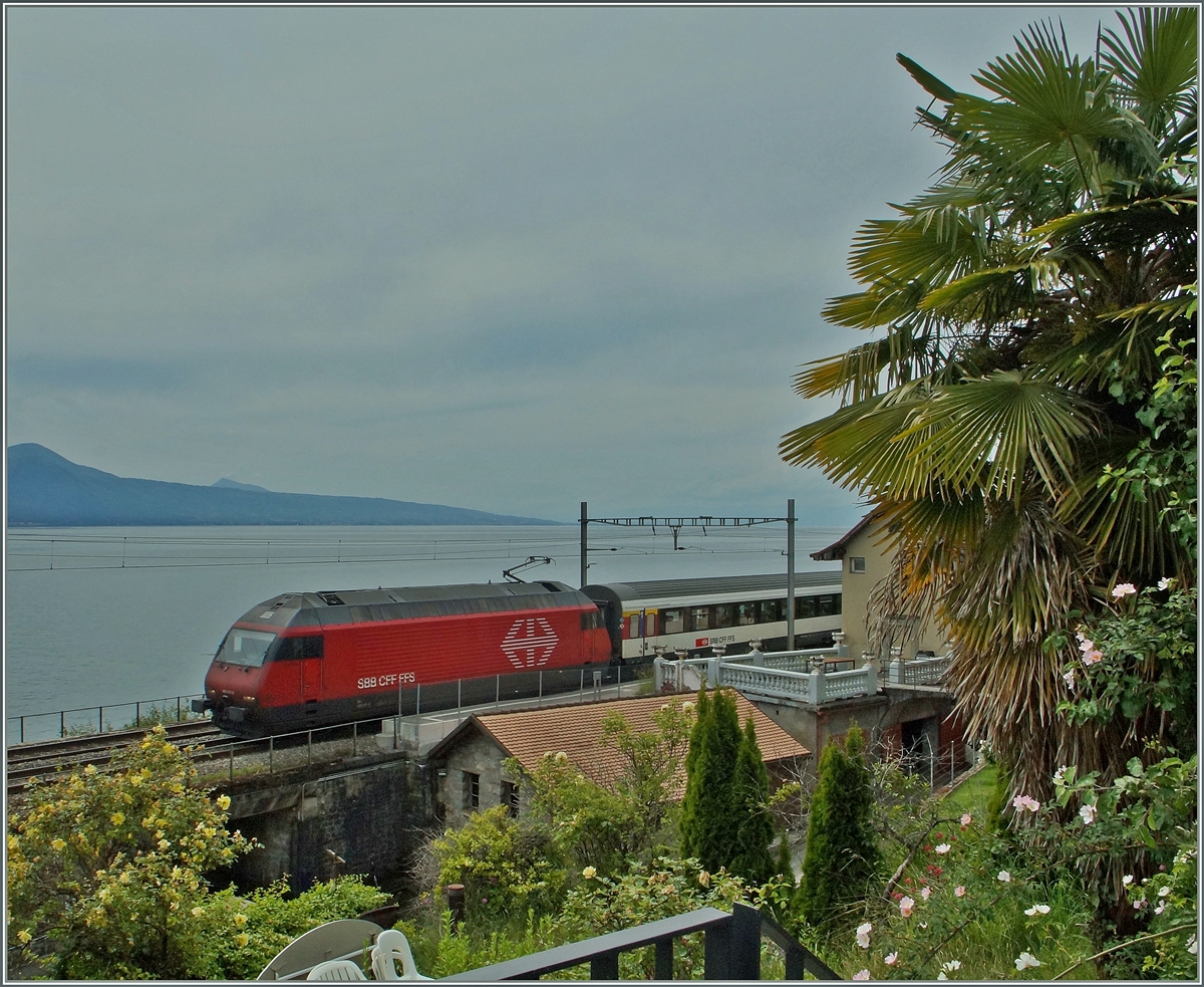 Die Palme in St-Saphorin hat den IR nach Brig  leider  etwas verdeckt...
25. Mai 2014