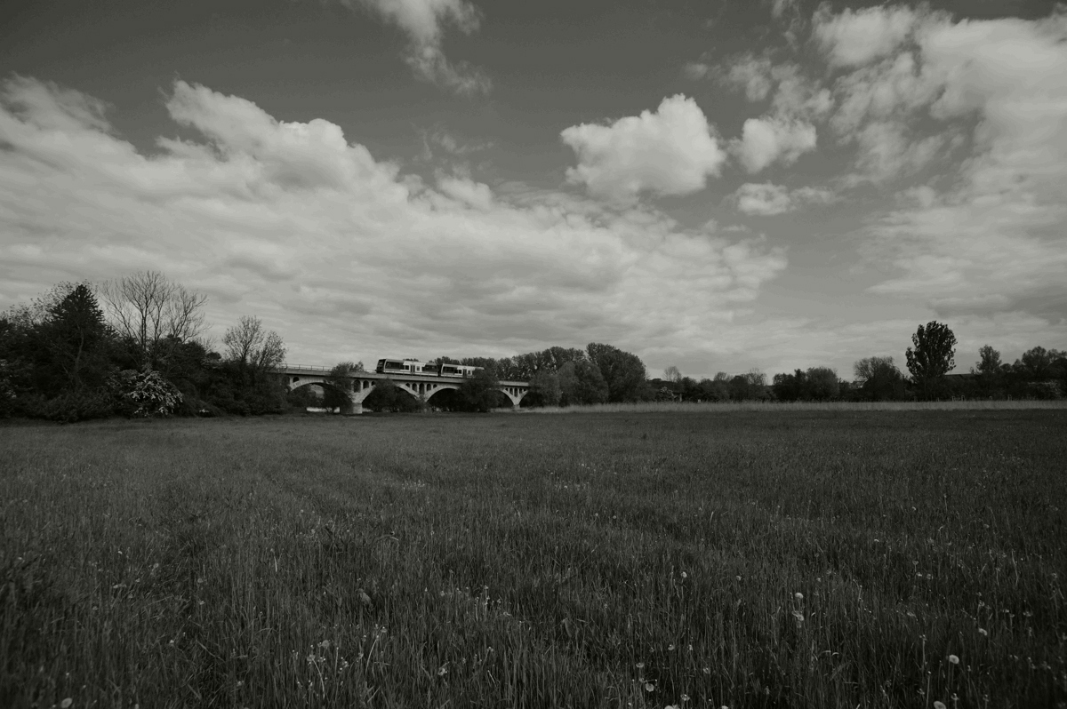 Die RB 34881 von Wangen nach Naumburg Ost, am 03.05.2014 auf dem Hochwasserviadukt bei Kirchscheidungen. (Foto: Nico Martin)