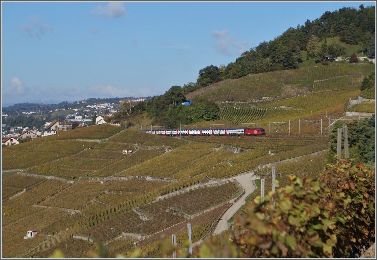 Die Re 460 059-9 mit dem IC 723 von Genève nach St. Gallen zwischen Bossière und Grandvaux. 23 Okt. 2014