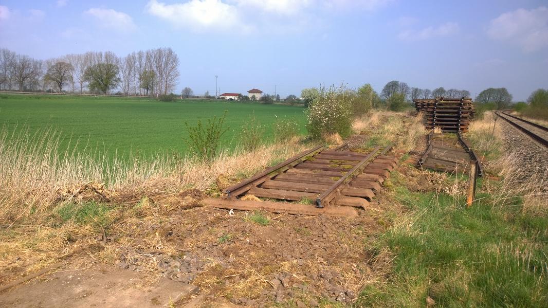 Die Reste vom ehemaligen Gleisdreieck Richtung Erfurt, am 06.04.2014 in Reinsdorf (b Artern). (Foto: Michael Rathmann)