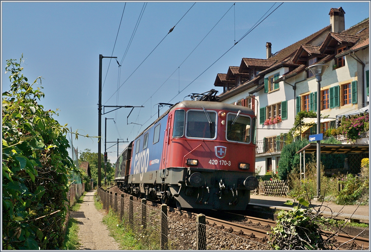 Die SBB Re 420 170-3 mit einem Güterzug bei Ligerz.
18. Aug. 2017