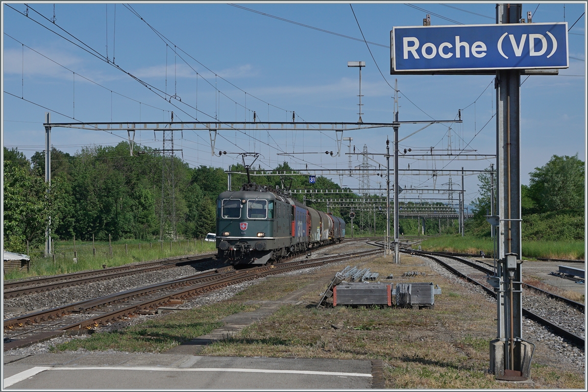 Die SBB Re 4/4 II 11335 (und eine Re 6/6) fahren mit einem Güterzug durch den Bahnhof von Roche VD. Das besondere an der Lok ist nicht nur dass sie grün ist, sondern dass sie wieder Grün ist. 

12. Mai 2022