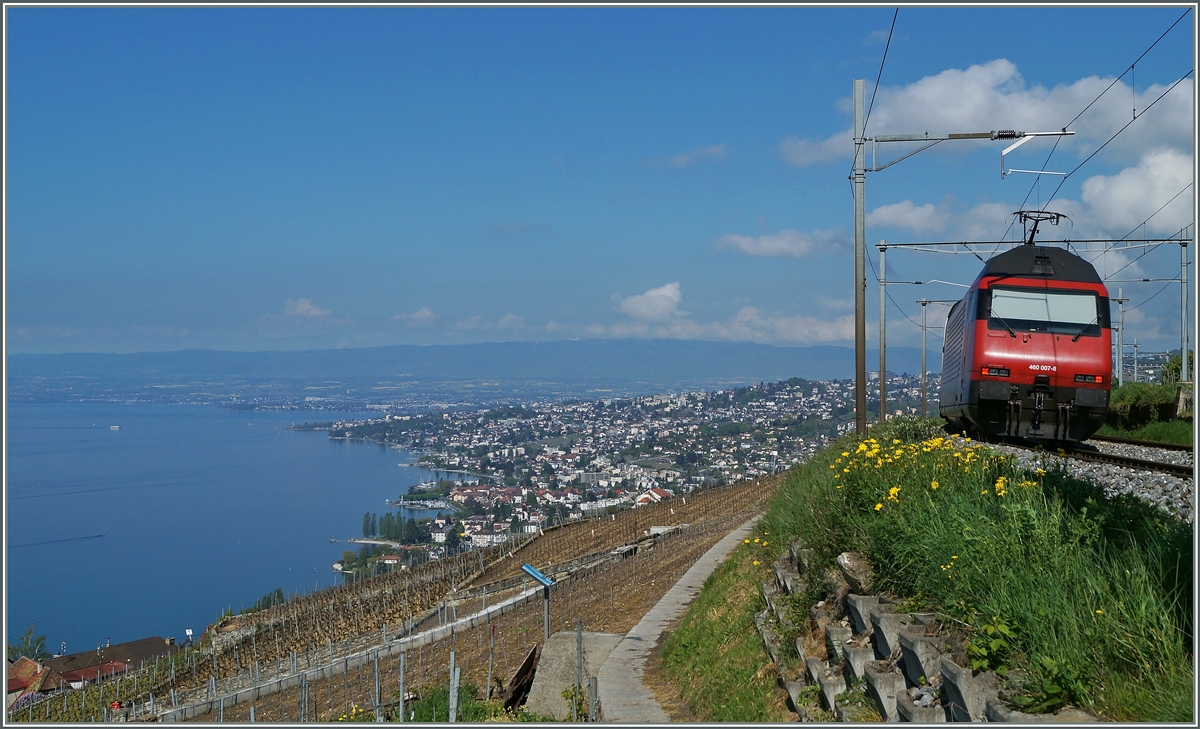 Die SBB Re 460 007-8 in Grandvaux auf dem Weg Richtung Lausanne. 
23. April 2014