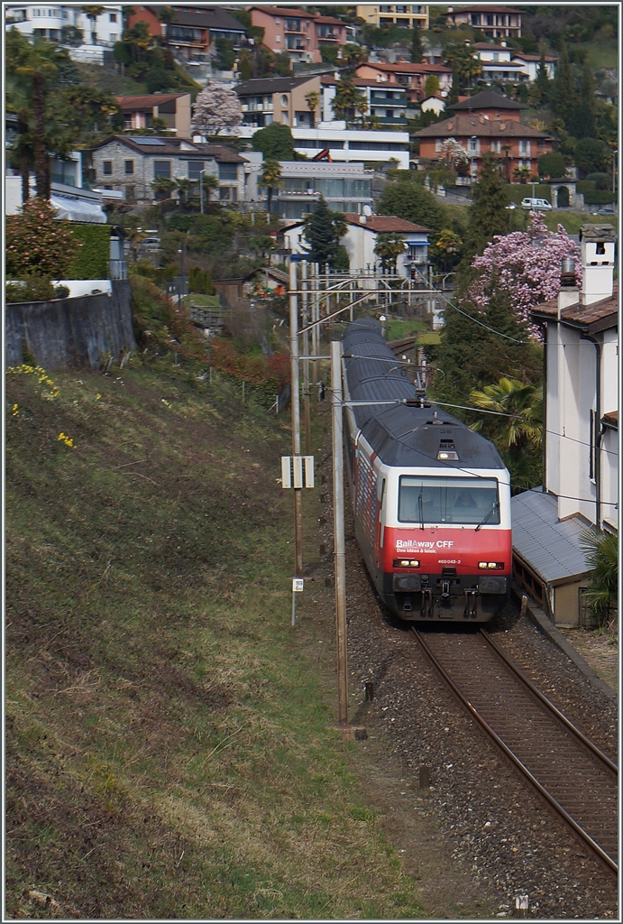 Die SBB Re 460 048-2 erreicht mit ihrem IR in wenigen Minuten ihr Ziel Locarno.
18. März 2015