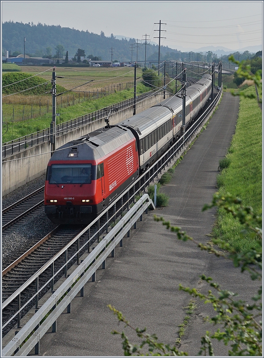 Die SBB Re 460 060-5 mit einem IC NBS Rothrist - Mattstetten (Olten-Bern) bei Langenthal. 

10. Aug. 2020
