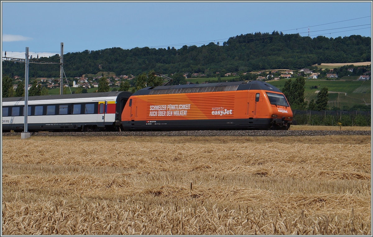 Die SBB Re 460 063-1 wirbt für  easy jet . 
Bei Allaman, den 8. Juli 2015