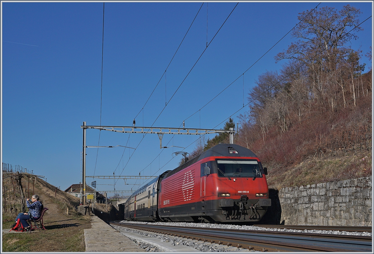 Die SBB Re 460 093-8 ist mit einem IC Richtung Bern zwischen Bossiéres und Grandvaux unterwegs.  

15. Feb. 2019