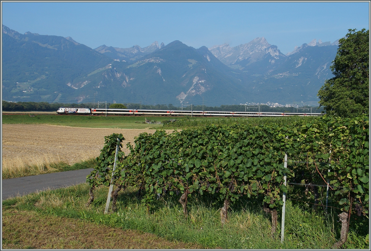 Die SBB Re 460  Rotes Kreuz  mit dem IR 1809 kurz vor Aigle. 
12. Auguts 2015