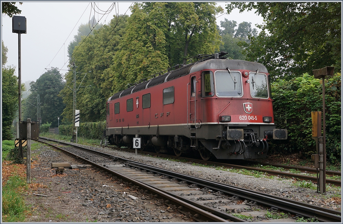 Die SBB Re 620 045-5 wartet in Konstanz auf einen neuen Einsazt.
17. Sept. 2018
