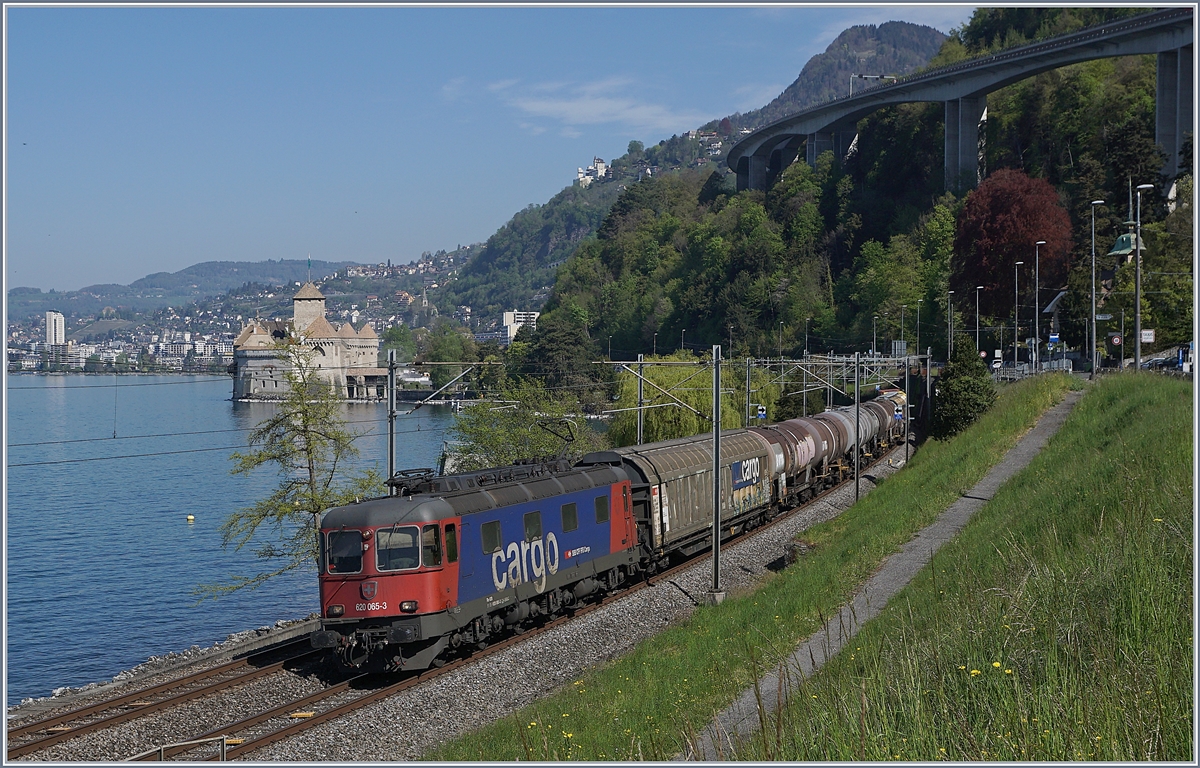 Die SBB Re 6/6 11665 Ziegelbrcke (Re 620 065-3) ist mit einem Gterzug beim Chteau de Chillon unterwegs.

16. April 2020