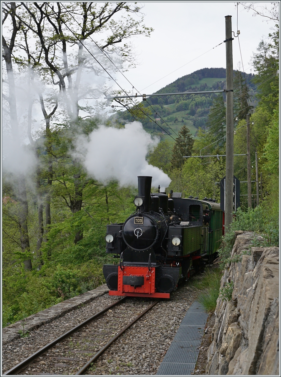 Die SEG G 2x 2/2 105 der Blonay-Chamby Bahn ist kurz nach  vers-chez-Robert  auf der Fahrt nach Chamby. 

24. Mai 2021