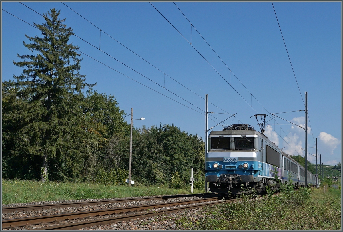 Die SNCF BB 22393 ist beim PN83 kurz vor Pugny-Chancy mit ihrem TER 96562 von Genève nach Lyon unterwegs. Ab hier verläuft für den letzen Kilometer der Weg nach Pougny etwas entfernt nördlich vom Gleis. Übrigens wachsen hier zuckersüsse Brombeeren, die sich zu meinem Verdruss aber teilweisse zu sehr auf dass Schotterbett ausgebreitet haben... 

6. September 2021