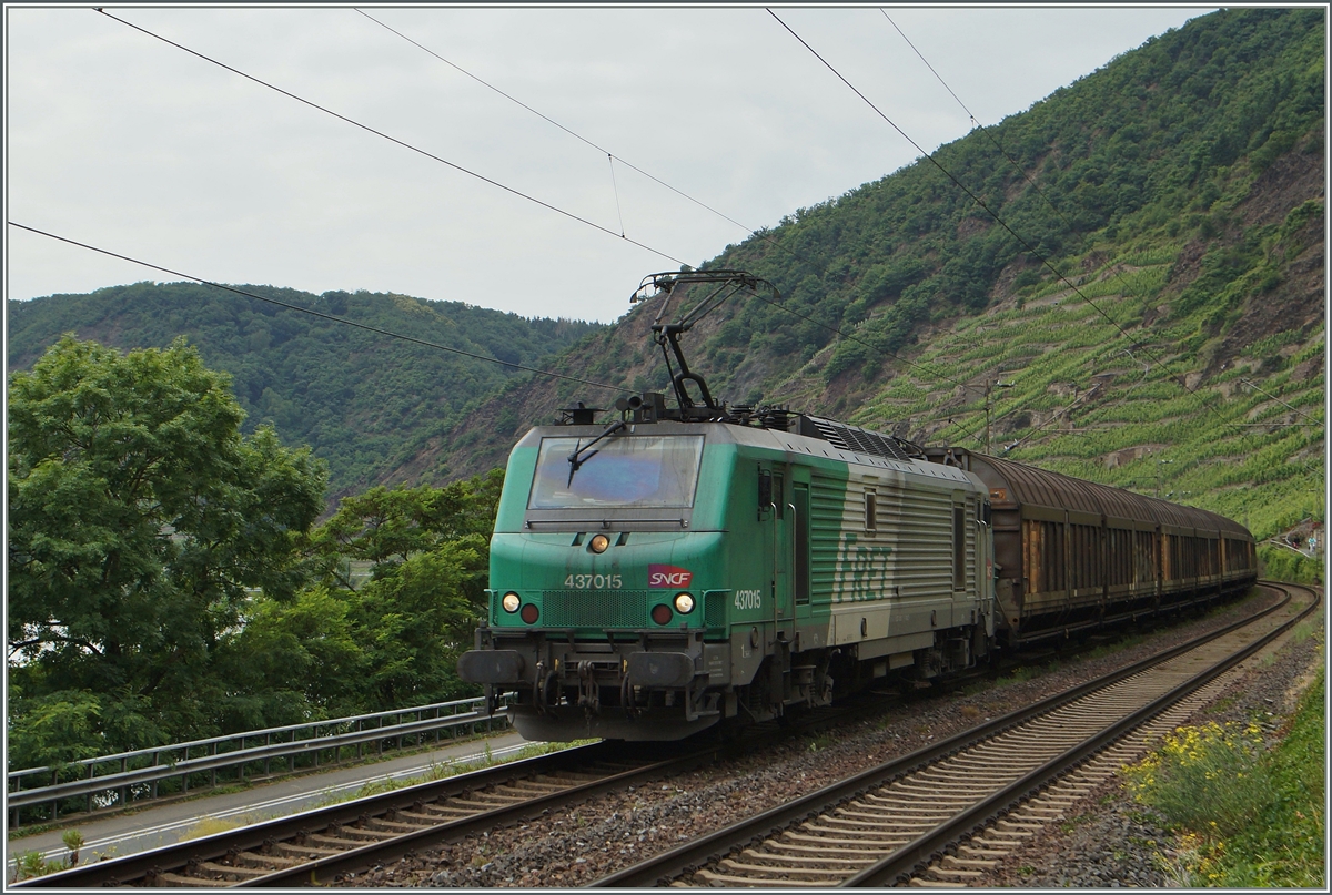 Die SNCF BB 37 015 mit einem langen Güterzug zwischen Kobern Gondorf und Winningen.
20. Juni 2014