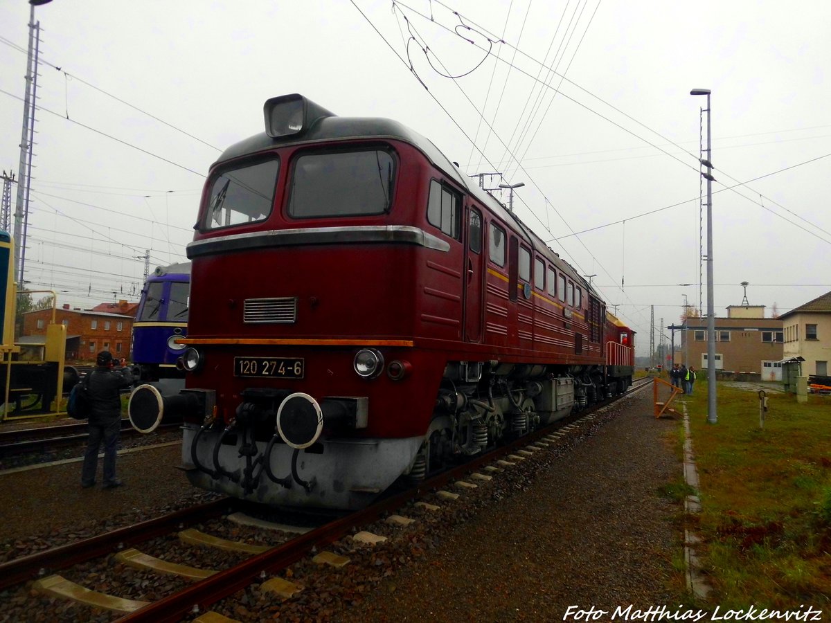 Die Taigatrommel 120 274 in Falkenberg/Elster am 8.10.16