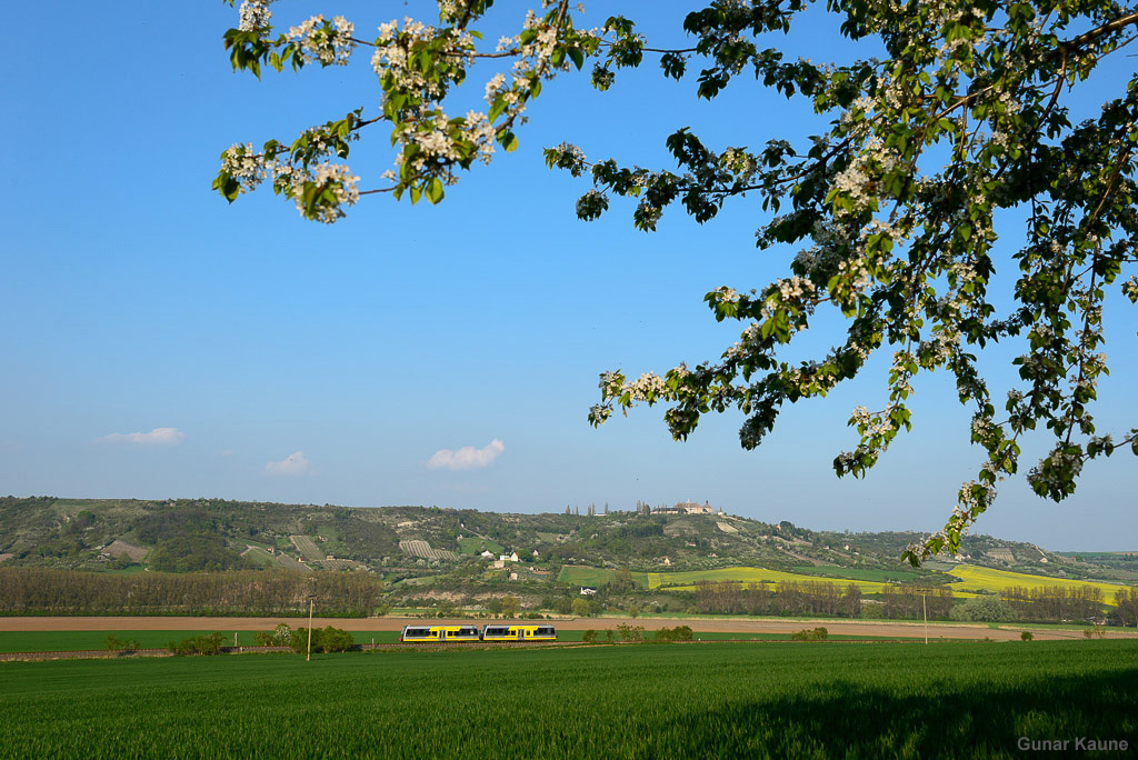 Die Unstrutbahn bietet in ihrem kompletten Verlauf eine Vielzahl von Fotomöglichkeiten. Neben den Schlössern von Freyburg und Nebra sind es vor allem die Weinberge, die den besonderen Reiz der Strecke ausmachen. Im Herbst sind sie bunt gefärbt, im Frühjahr dafür etwas länger kahl. Dafür blühen dann die Obstbäume und auch das eine oder andere Rapsfeld lässt sich finden, so dass trotzdem für bunte Farben gesorgt ist. Das Burgenlandbahn-Pärchen 672 902 und 672 917 ist auf dem Weg von Wangen zurück nach Naumburg Ost unterwegs und wurde am 05.05.2013 unterhalb des Flugplatzes von Laucha angetroffen.