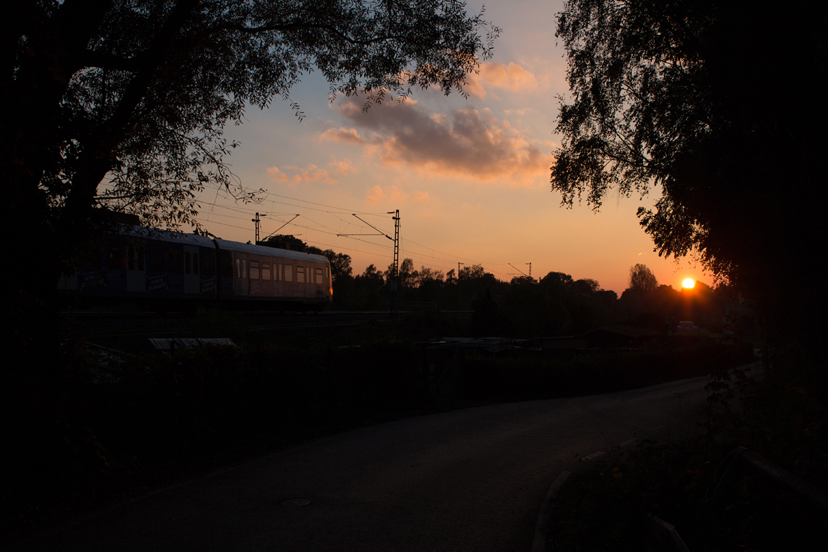 Die untergehende Sonne im Blick hatte am Abend des 22. Oktober 2016 der Tf eines 423 in Richtung München. Aufnahmeort: Poing 