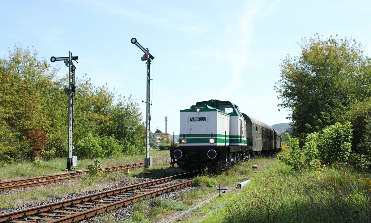 Die V100 003 (92 80 1201 003-1 D-LDK) vom Förderverein Berlin-Anhaltinische Eisenbahn e.V. mit dem DPE 17399 von Staßfurt nach Karsdorf, am 09.09.2023 in Laucha (Unstrut). Die Sonderfahrt zum Winzerfest Freyburg haben die Eisenbahnfreunde Traditionsbahnbetriebswerk Staßfurt e.V. organisiert.