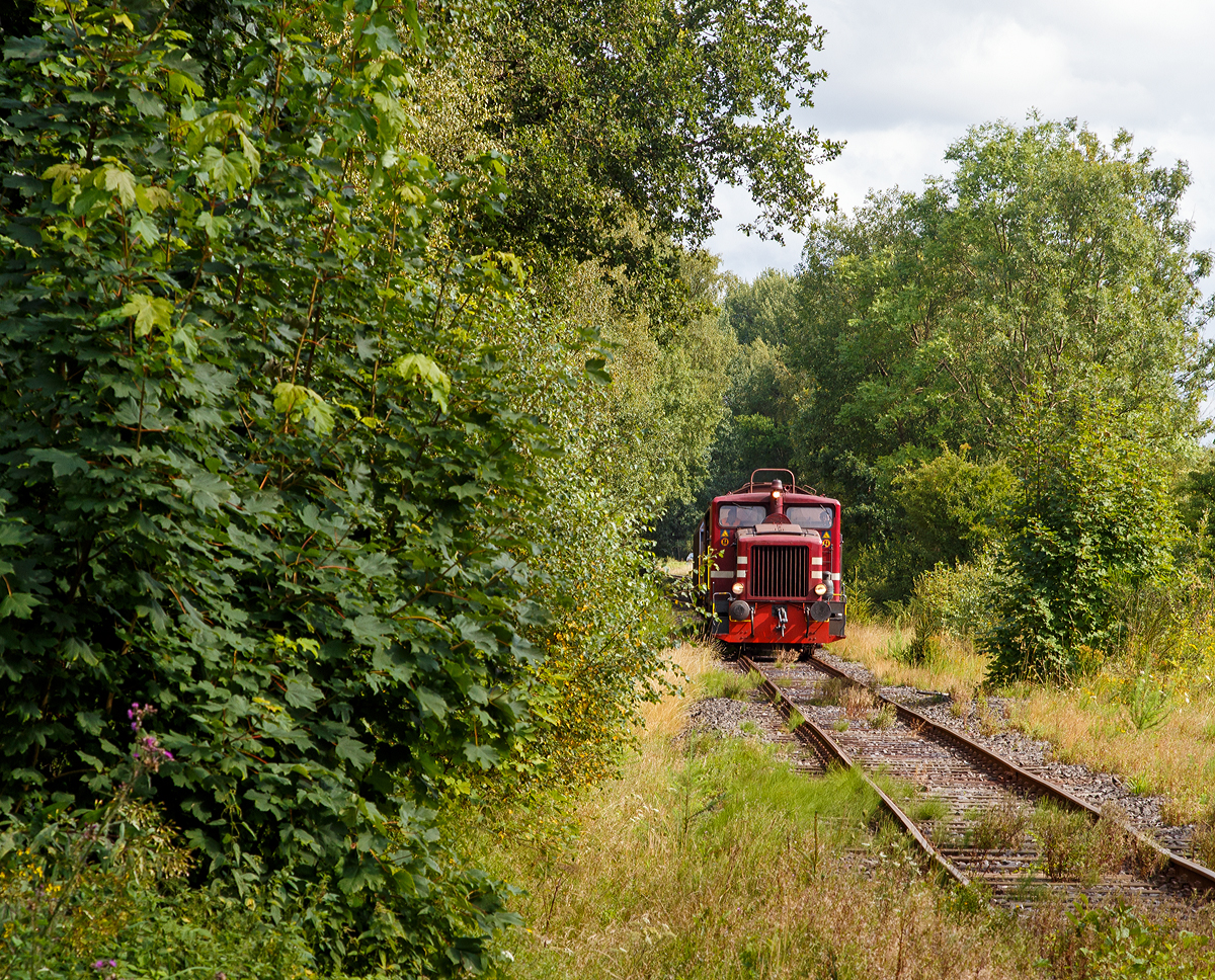 
Die Westerwaldbahn (WEBA) Lok 3 (V 26.3), eine Jung R 30 B, fhrt am 25.08.2015 mit ihrem Gterzug bei Elkenroth in Richtung Bindweide. Die etwas in die Jahre gekommene Strecke, von Scheuerfeld/Sieg ber Bindweide nach Weitefeld, ist Eigentum der WEBA. Frher ging die Strecke bis zu Siegerland Flughafen. 

Die Jung Lok vom Typ R 30 B wurden bei der Firma Jung in Kirchen/Sieg 1957 unter der Fabriknummer 12748 gebaut und als V 26.3 an die WEBA geliefert. Sie hat die NVR-Nummer 98 80 3944 005-8 D-WEBA.

Die WEBA hatte 4 dieser Jung R 30 B Loks, diese zwei Loks sind heute noch als Reserveloks erhalten geblieben. Die anderen zwei dienen als Ersatzteilspender.
 
Die Maschinen besitzen ein hydraulisches Getriebe, die Kraftbertragung erfolgt vom Getriebe mittels Blindwellen ber Treibstangen auf die Rder.

Technische Daten:
Achsformel: B
Lnge ber Puffer: 7.680 mm
Achsabstand: 3.000 mm
Gewicht der Lok: 28 t
Hchstgeschwindigkeit: 46 km/h (23,4 km/h im Rangiergang)
Leistung: 191 kW (260 PS)
