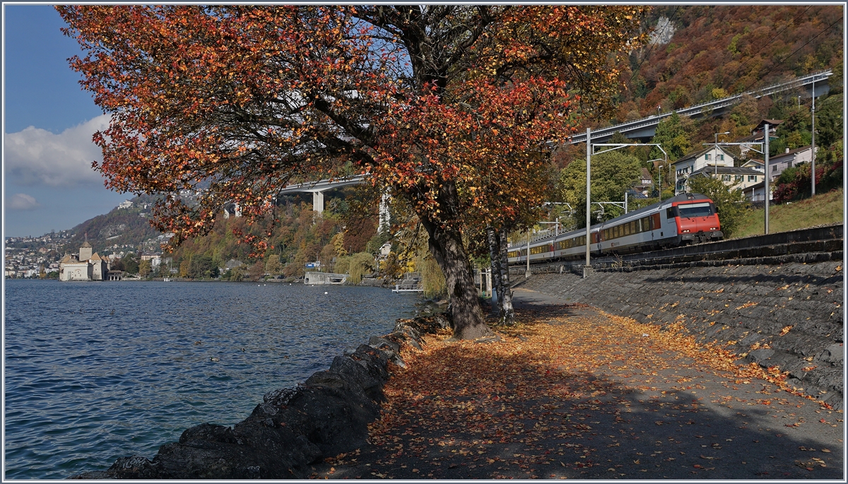 Doch noch etwas bunten Herbst gibt es hier zu sehen, doch durch die Verpendelzug der  Walliser IR  muss man sich  bahntechnisch statt mit einer Re 460 mit einem Steuerwagen zufrieden geben. 
IR Genève - Brig beim Château de Chillon am 3. Nov. 2016