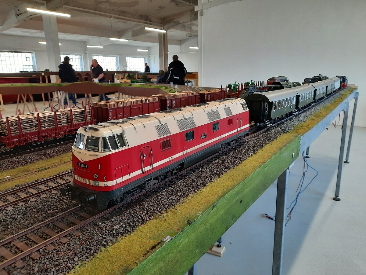 DR 118 296-3 am 16.04.2022 auf der Anlage der IG-Spur1-Mitteldeutschland in Naumburg (S).