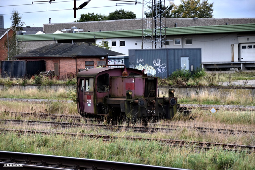 DSB-276,fuhr solo vom bf padborg,06.10.16