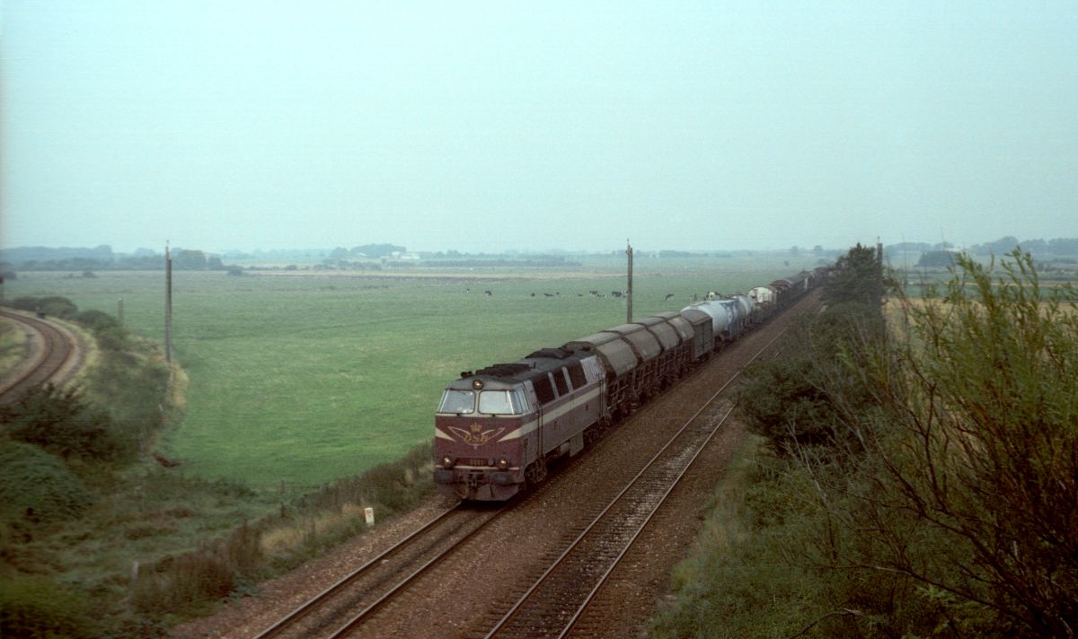DSB Litra MZ 1411 Einfahrt Tingleff/Tinglev 26.09.1981