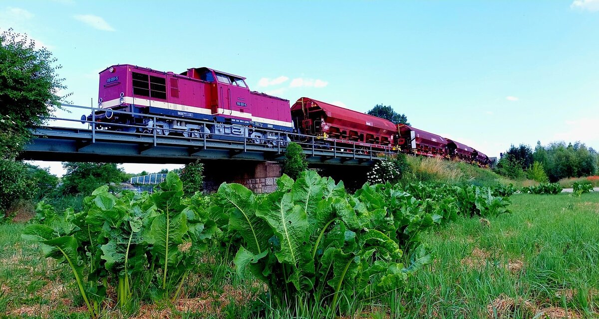 EBS 110 001-5 mit Getreidewagen auf der Fahrt nach Karsdorf, am 15.06.2023 bei Ro�bach. (Foto: Andre Marek)