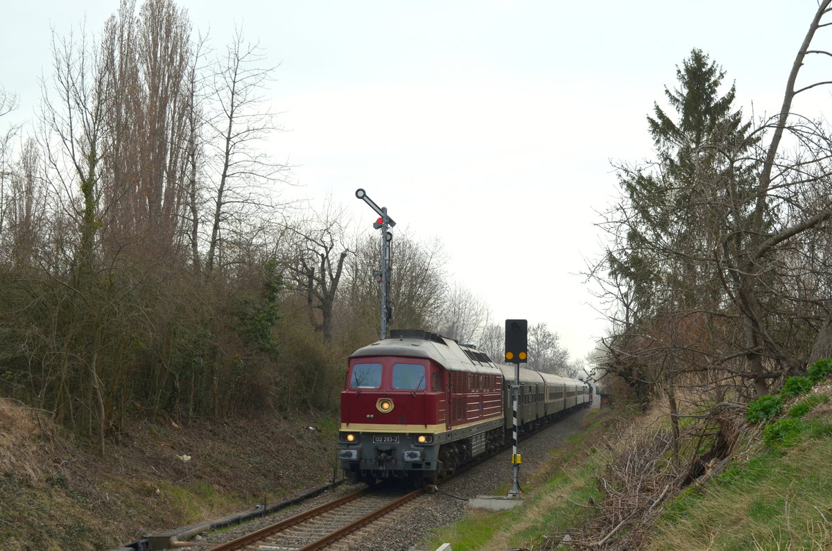 EBS 132 293-2 mit dem Lr 16993 von Karsdorf nach Freyburg am 24.03.2019 am ehem. Posten 6a in Laucha an der Unstrut. Die Diesellok bespannte zwischen Naumburg und Karsdorf an dem Tag den  Rotkäppchen-Express I . (Foto: Dieter Berger)