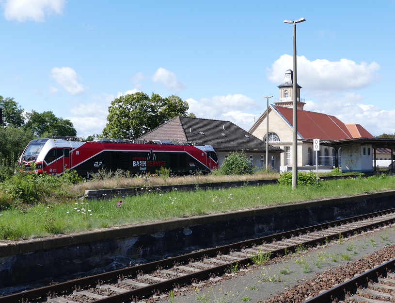 EBS 159 227 versteckt sich am 08.08.2021 zwischen der Vegetation auf Gleis 1 in Zeitz Pbf.
