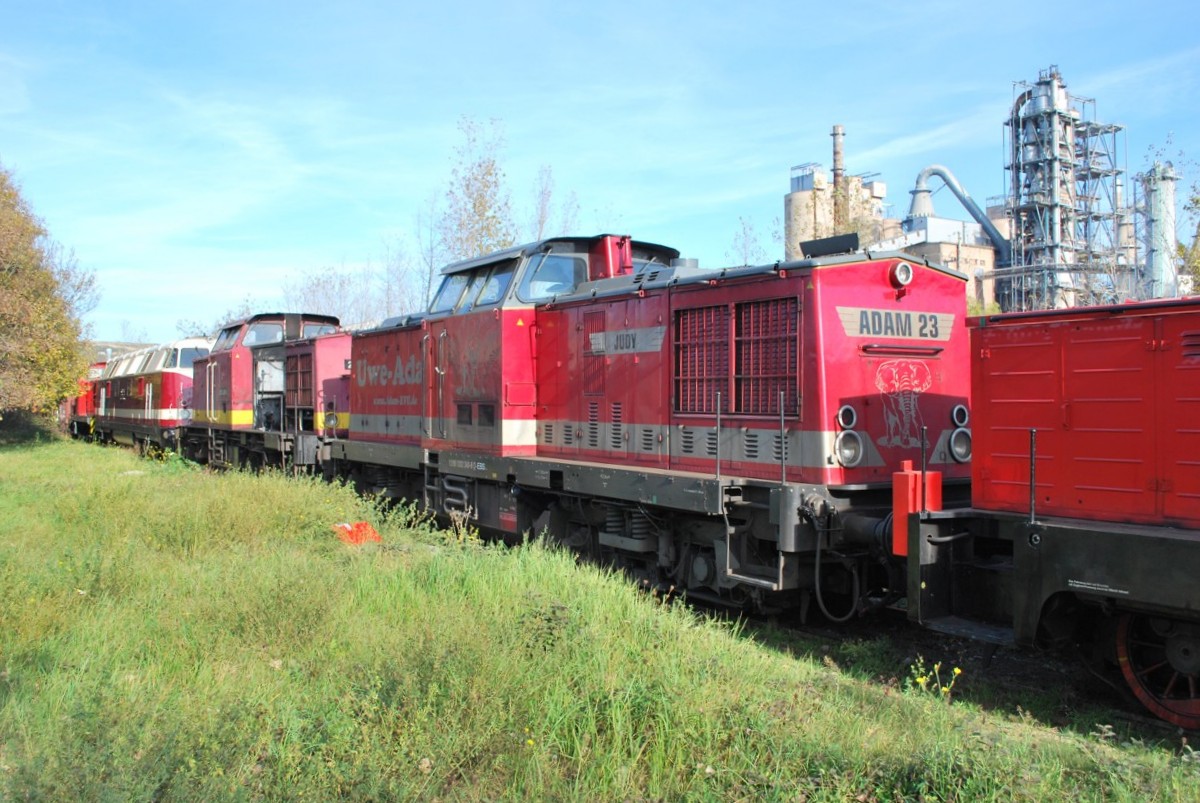 EBS 202 240-8 am 02.11.2014 in Karsdorf. (Foto: Mario Fliege)