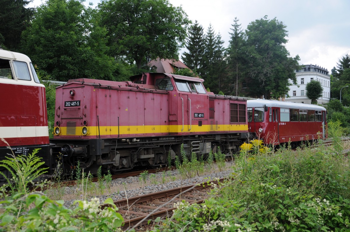 EBS 202 487-5 war am 16.07.2014 zusammen mit der EBS 228 757-1 und dem EBS 772 345-5 von Karsdorf in Richtung Naumburg unterwegs. Mein Onkel fotografierte beim Kreuzungshalt im ehemaligen Bahnhof Freyburg.