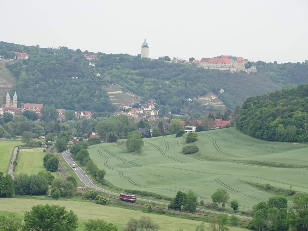 EBS 232 xxx als Tfzf Richtung Naumburg, am 04.06.2020 vor Freyburg. (Foto: Jörg Berthold)