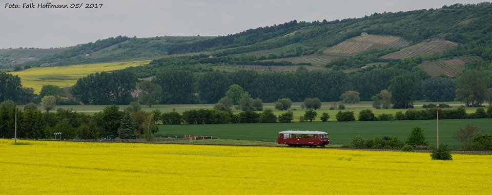 EBS 772 345 als Sonderzug von Karsdorf nach Freyburg, am 21.05.2017 bei Kirchscheidungen. (Foto: Falk Hoffmann)