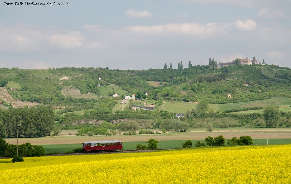 EBS 772 345 als Sonderzug von Karsdorf nach Freyburg, am 21.05.2017 bei Kirchscheidungen. (Foto: Falk Hoffmann)