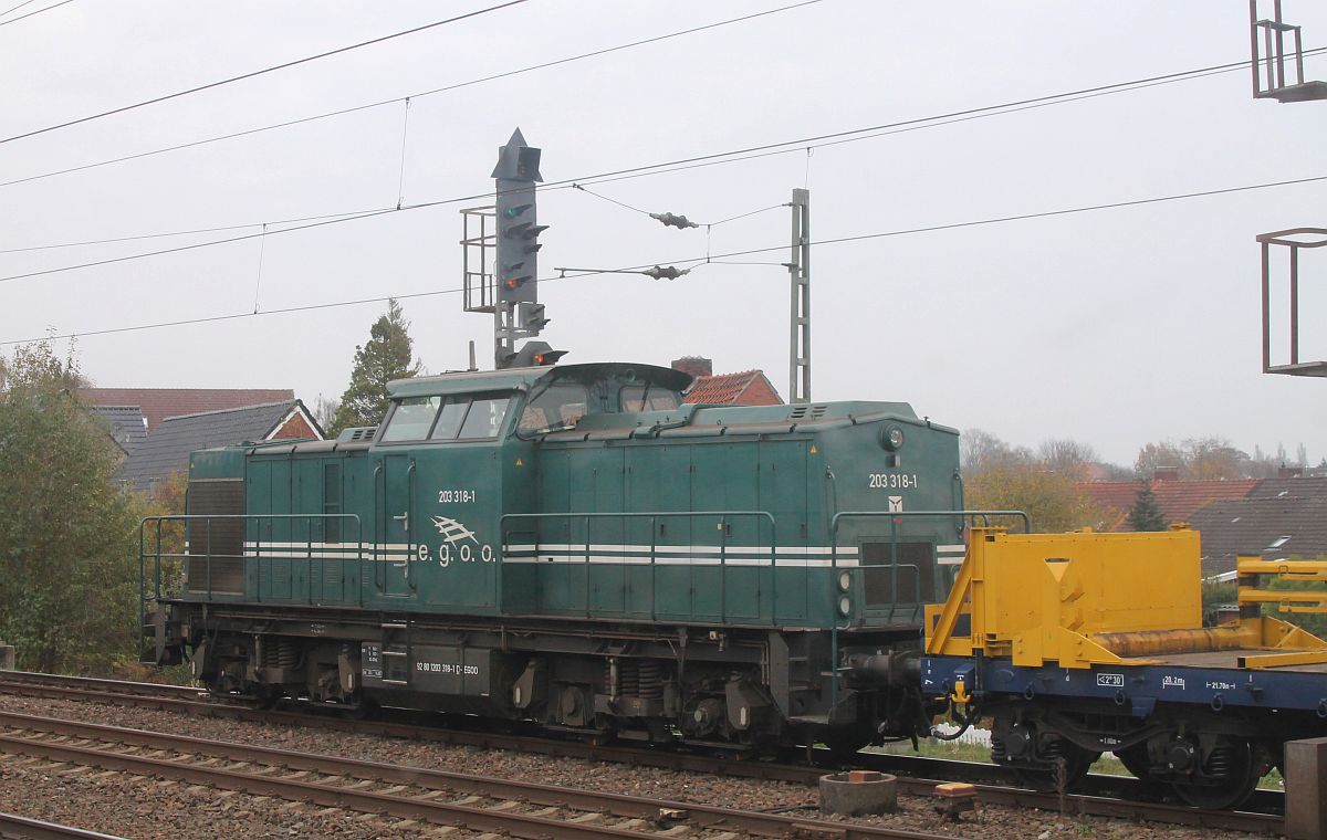 e.g.o.o 203 318 (gebaut als DR 110 318 VEB LEW 12827/1970, dann DB 202 318) vor Bauzug (Nachschu) Leer/Ostfr., 6.11.2021  