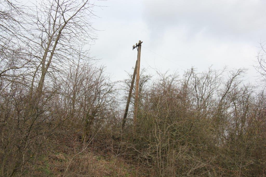 Ein alter Telegrafenmast neben der Finnebahnbr�cke zwischen Laucha und Golzen am 23.02.2014. (Foto: Wolfgang Krolop)
