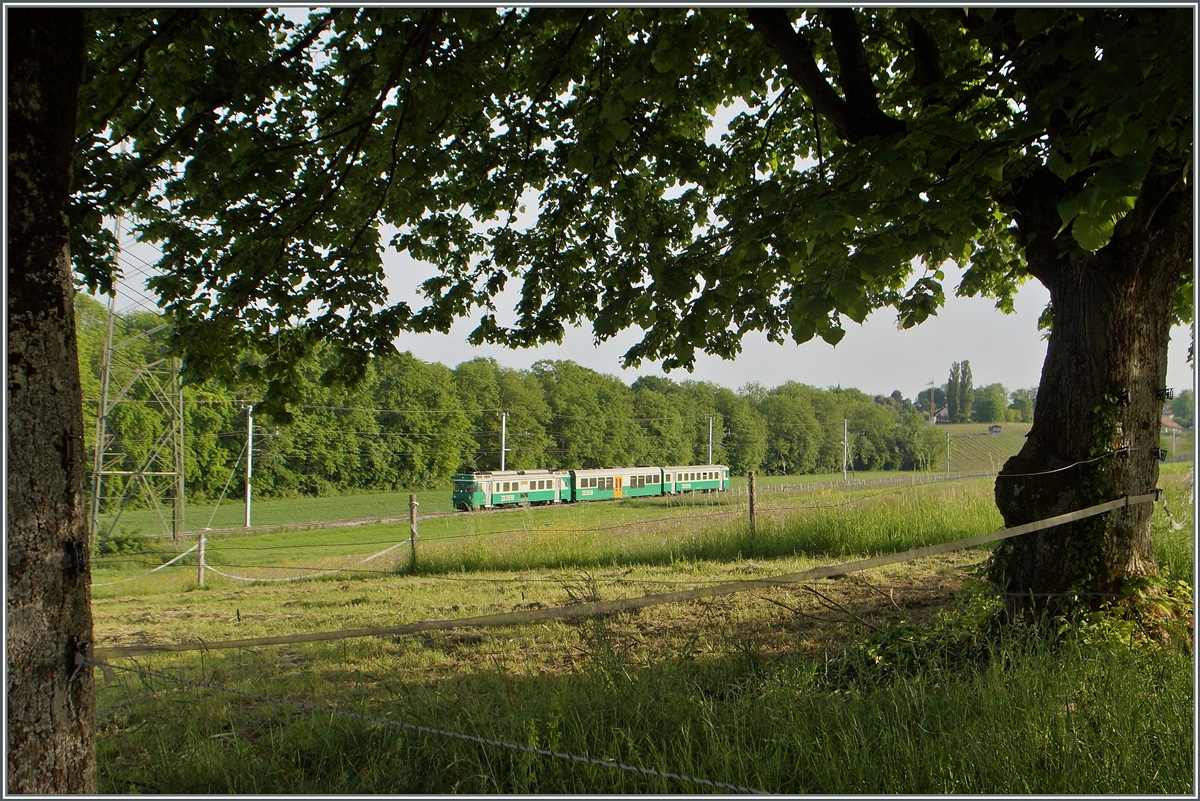 Ein BAM Regionalzug bei Vufflens le Château.
In der Zwischenzeit haben SURF Triebwagen die Be 4/4 abgelöst.


12. Mai 2015