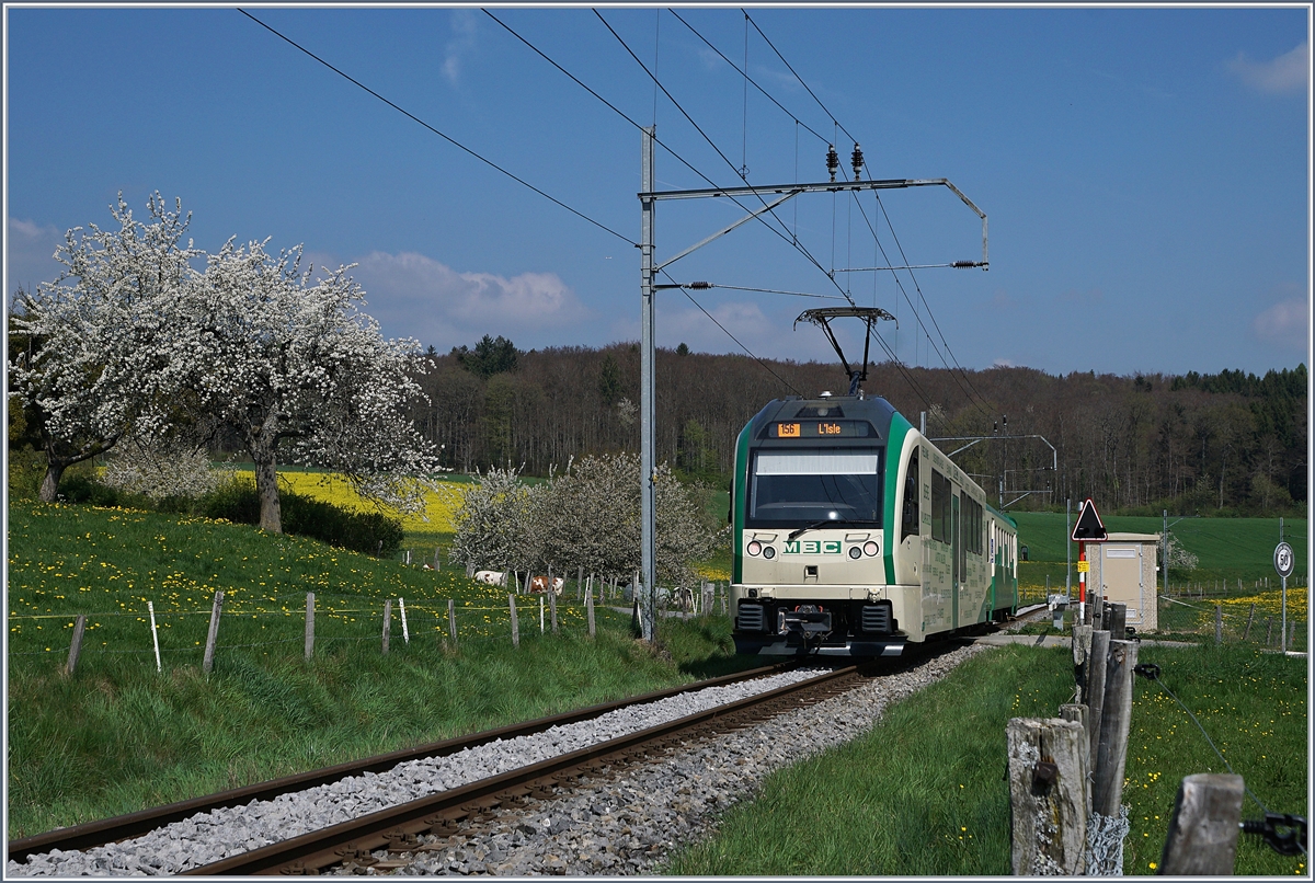 Ein BAM Regionalzug im frühlingshafter Umgebung bei Apples.
11. April 2017