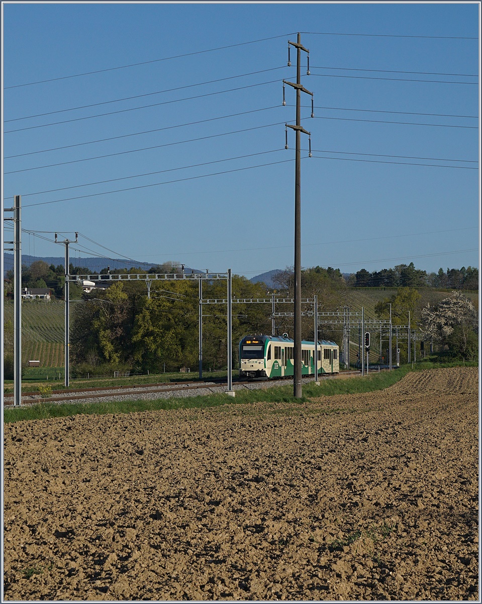 Ein BAM SURF auf der Fahrt nach Morges in Gilly. 

10. April 2017