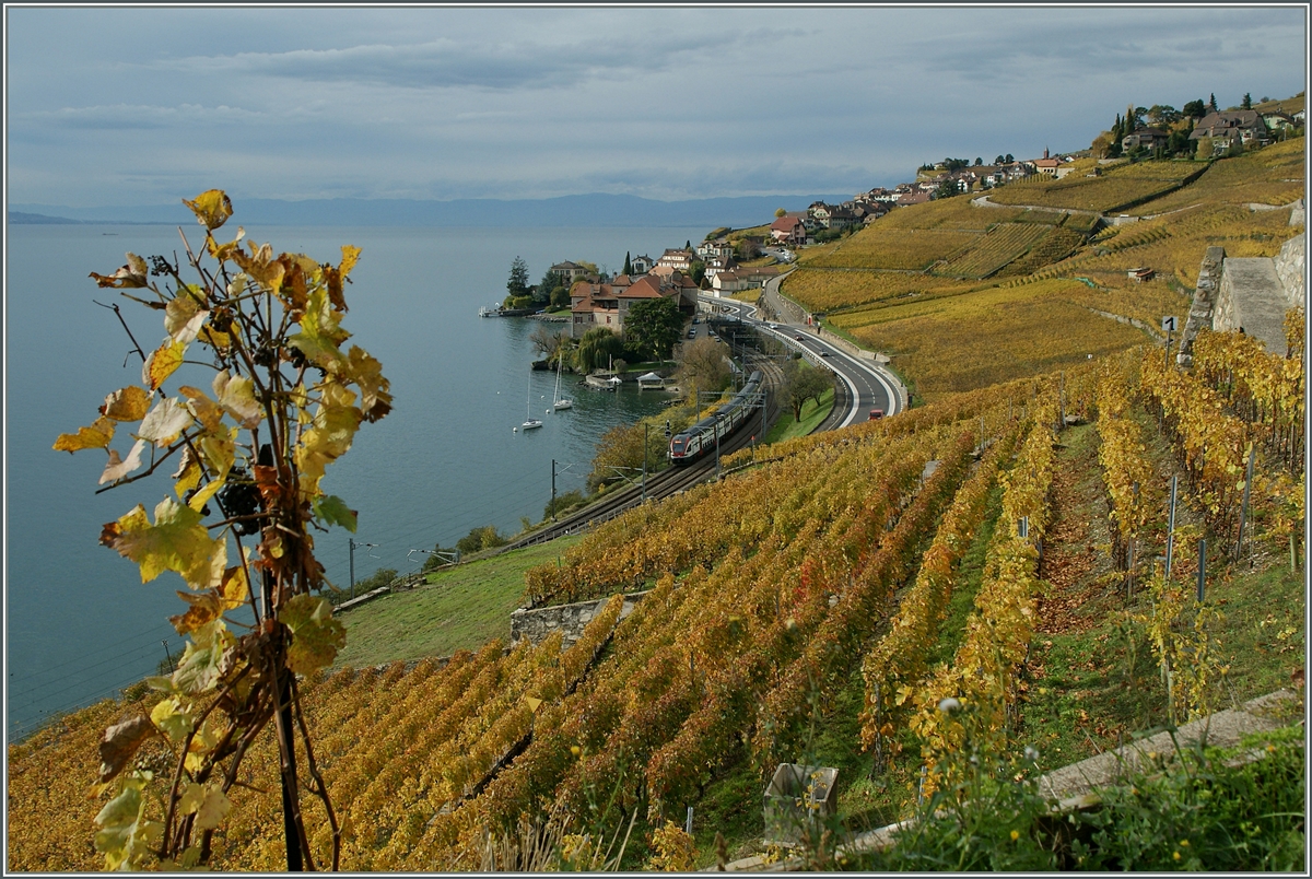 Ein Blick von einer Anhhe bei St-Saphorin gegen Rivaz. 
8. Nov. 2013