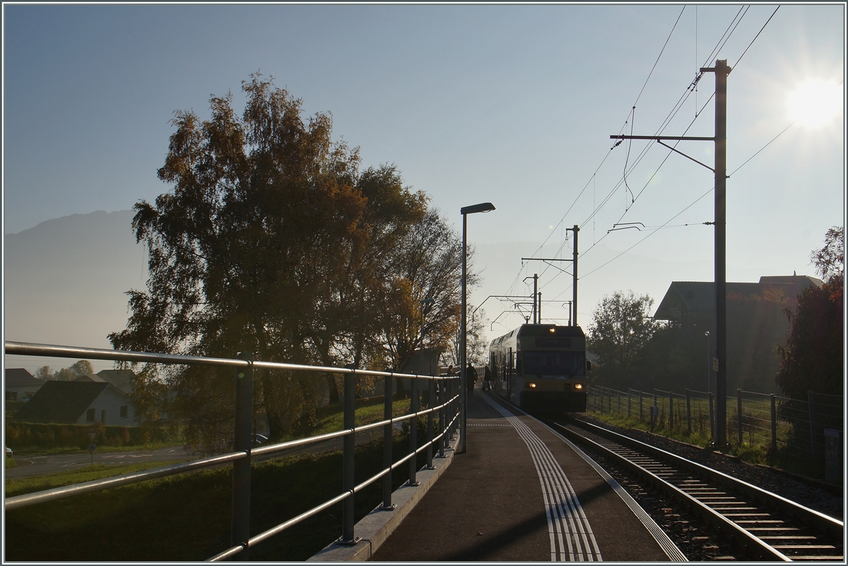 Ein CEV GTW im herbstlichen Gegenlicht in Château de Hauteville.
2. Nov. 2015