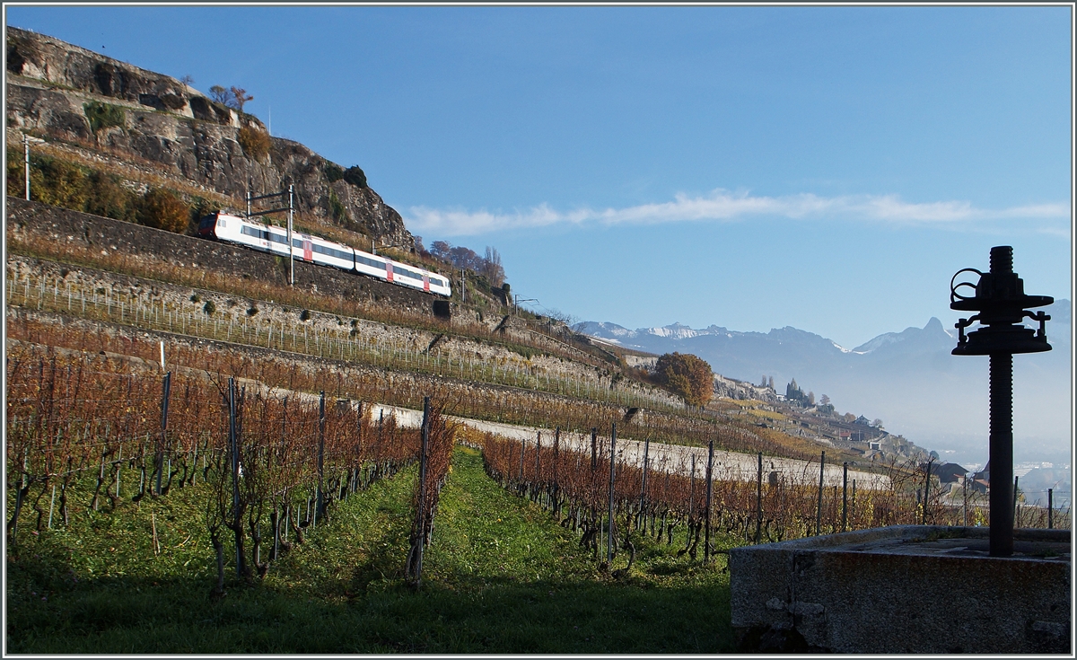 Ein Domino als S31 auf der Fahrt von Vevey nach Puidoux-Chexbres oberhalb von St-Saphorin.
22. Nov. 2014