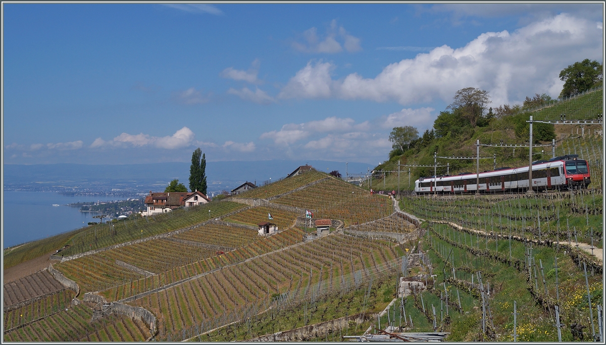 Ein  Domino Pendelzug unterwegs nach Payerne zwischen Bossière und Grandvaux.
23. April 2014