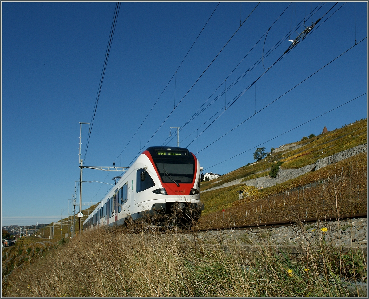 Ein Flirt auf der Fahrt Richtung Lausanne kurz nach Cully.
28. Okt. 2013