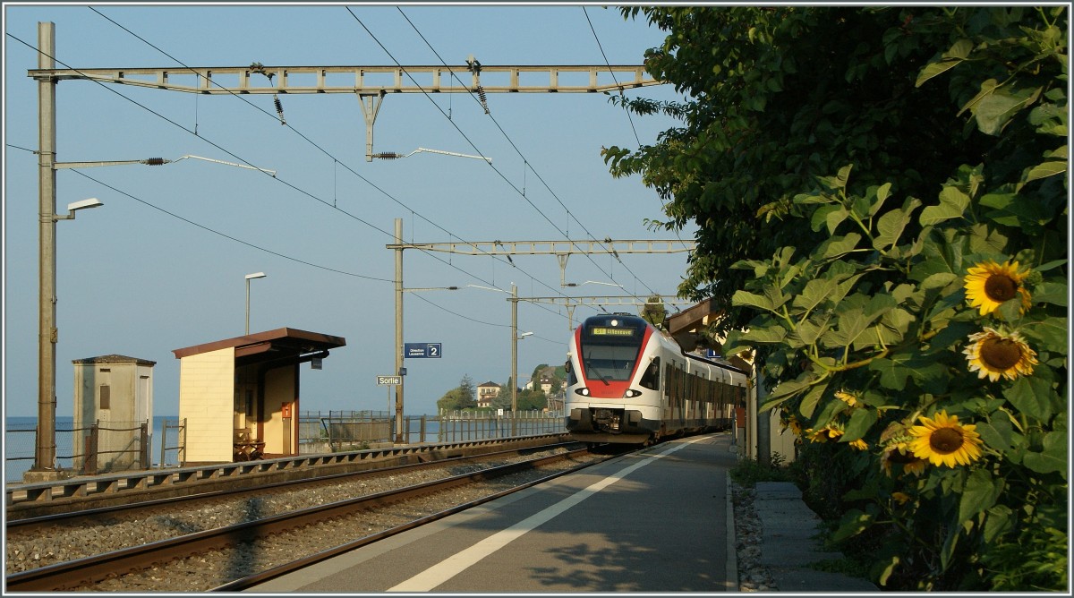 Ein Flirt erreicht St.Saphorin.
31. August 2013